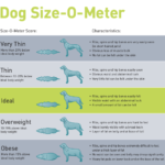 dog size o meter